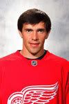 http://th243.photobucket.com/albums/ff276/Lionsfan_81/th_paveldatsyuk.jpg